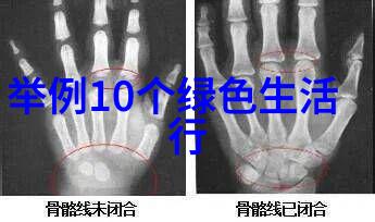 学术探索智慧的钻研之旅