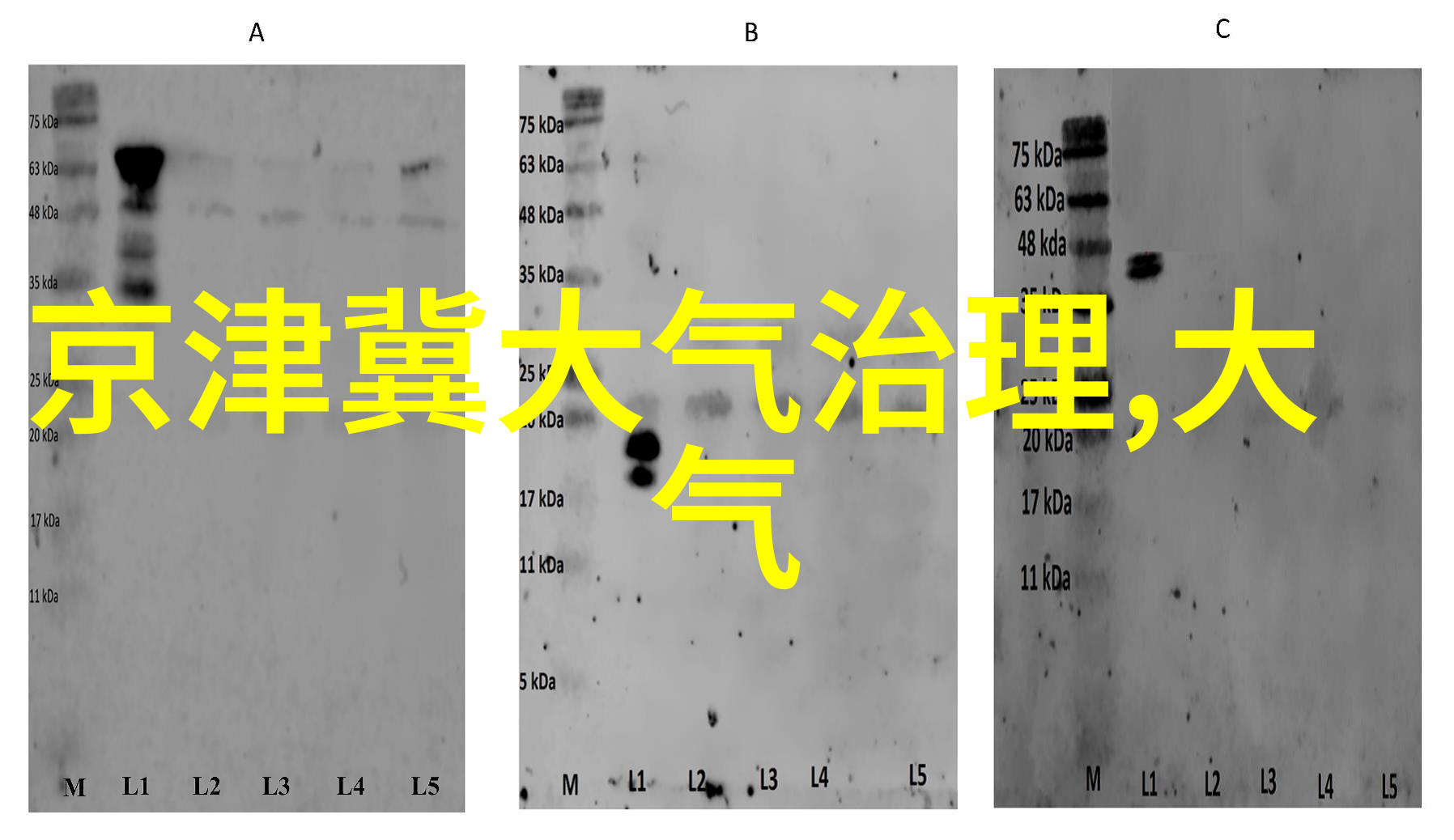 污水处理设备一体化流程高效的环境保护解决方案