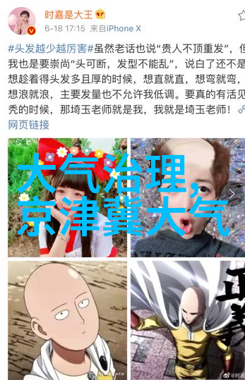 绿色家居改造低碳生活的实用指南