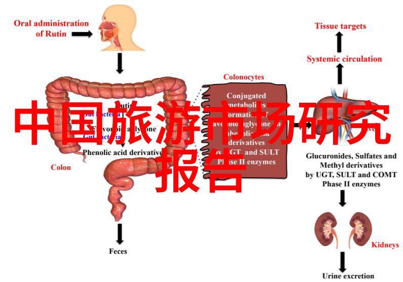 乡村旅游成功案例体验田园风光的现代旅行方式