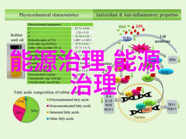 工业液体过滤器滤芯精密捕捉杂质确保流程稳定