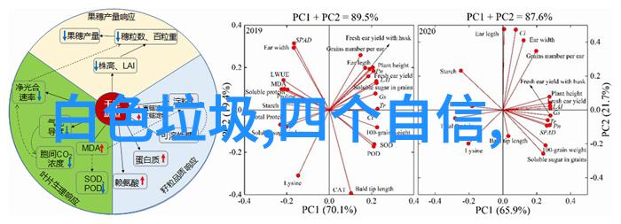 安徽省农村自来水普及率达89推动绿色环保生活品质提升