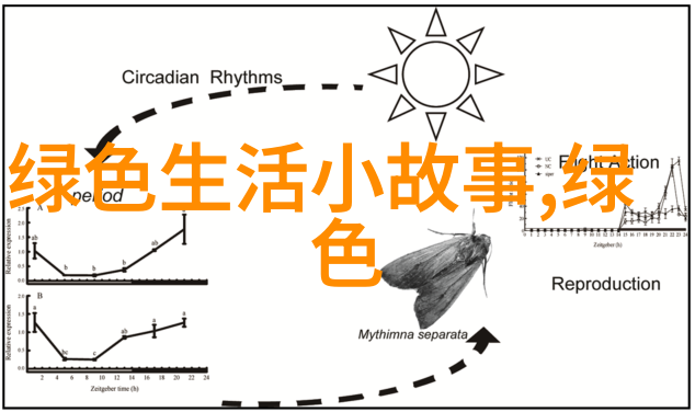 探索奇幻世界穿越时空的奇迹之旅