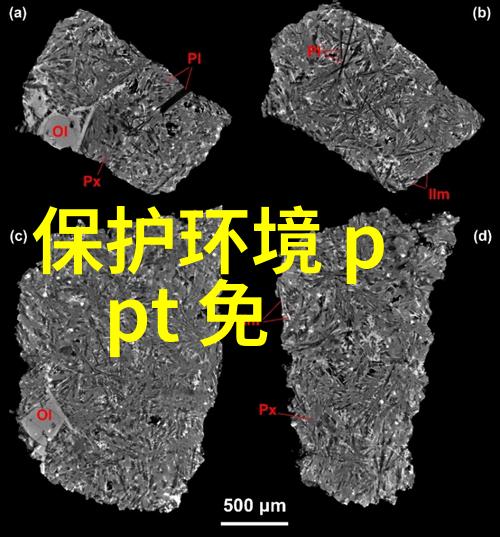 绿色生态我的小径上的故事