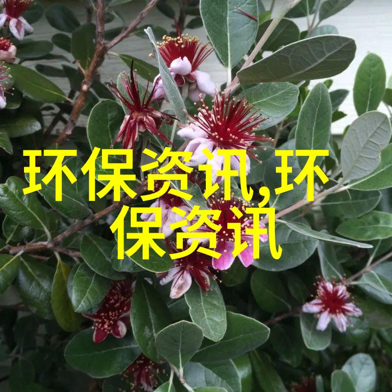 缅北原始雨林by扇葵-深入丛林探索缅北的野生秘密与by扇葵的奇迹