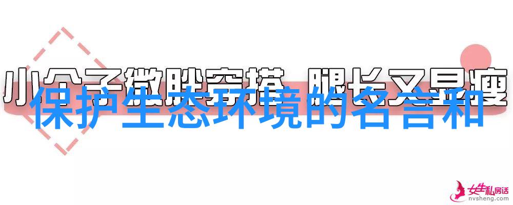 农村生活污水排放标准最新绿色家园的清新篇章