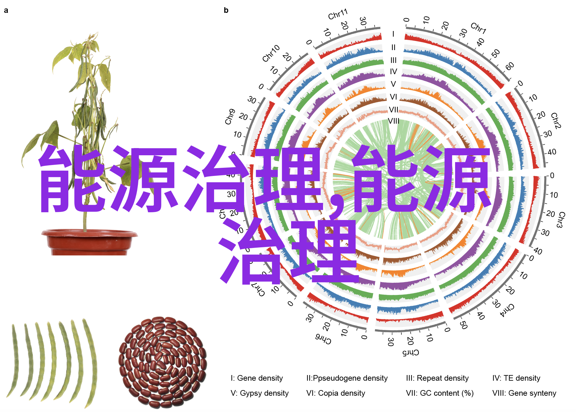 水净化沉思之滴