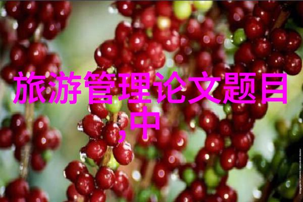 低碳环保节能产业 - 绿色转型探索低碳经济的未来