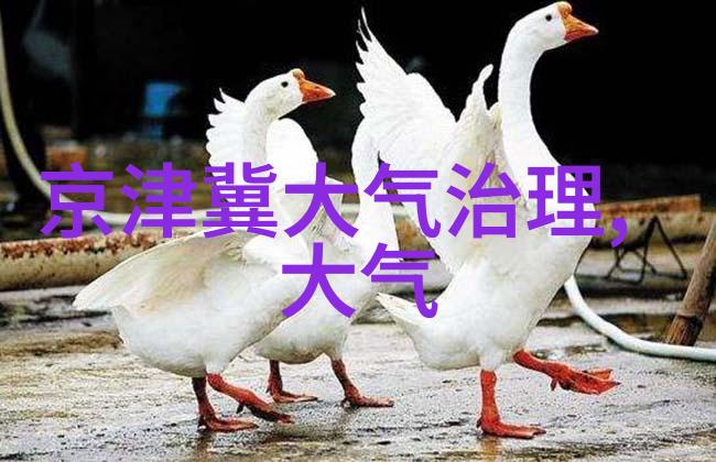 驾驭时尚汽车仪表盘的科技与美学演进