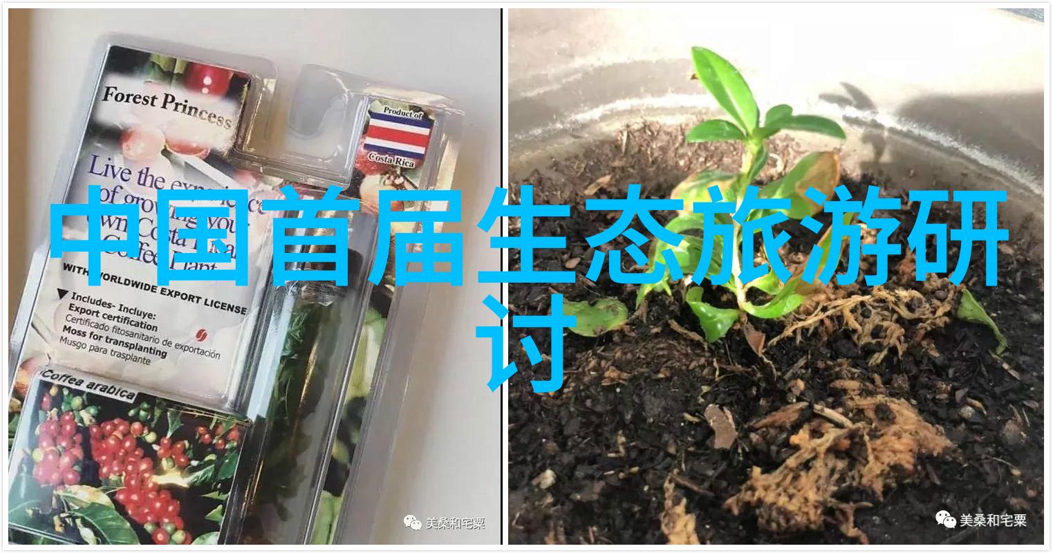 海岛幻梦沉睡在碧波间的秘密世界