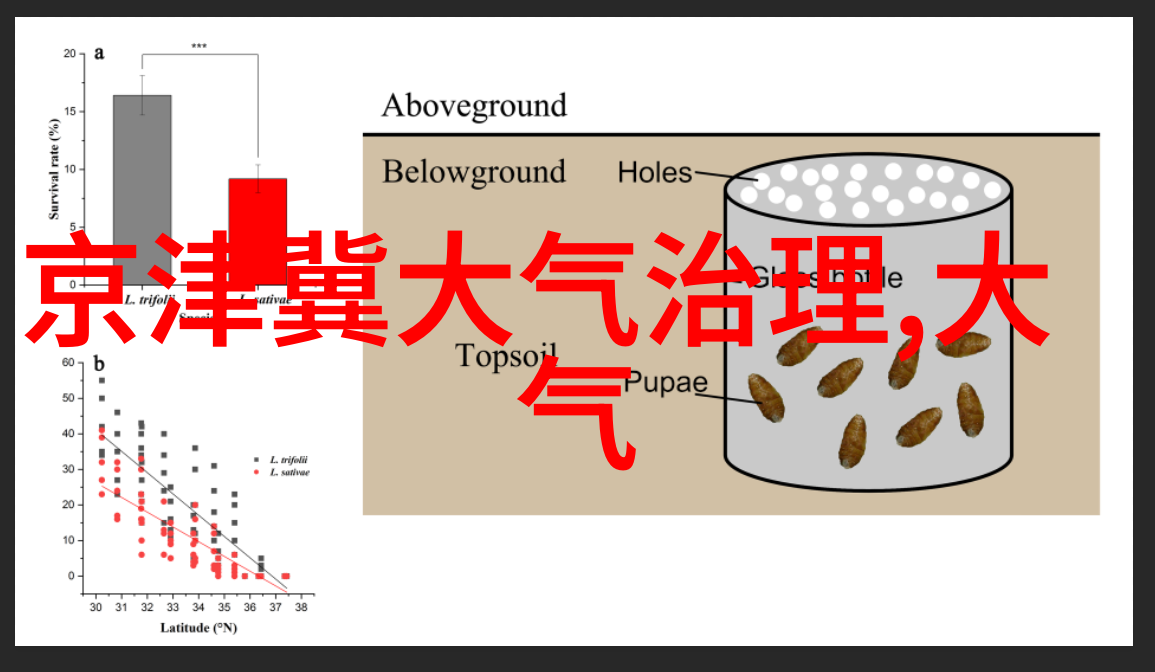 乡村的秘密未解之谜与隐匿的美丽