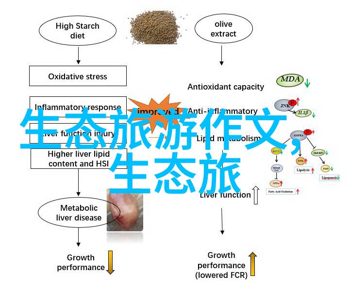 DIY手册简单步骤教你自己检查和维护儀面板设备