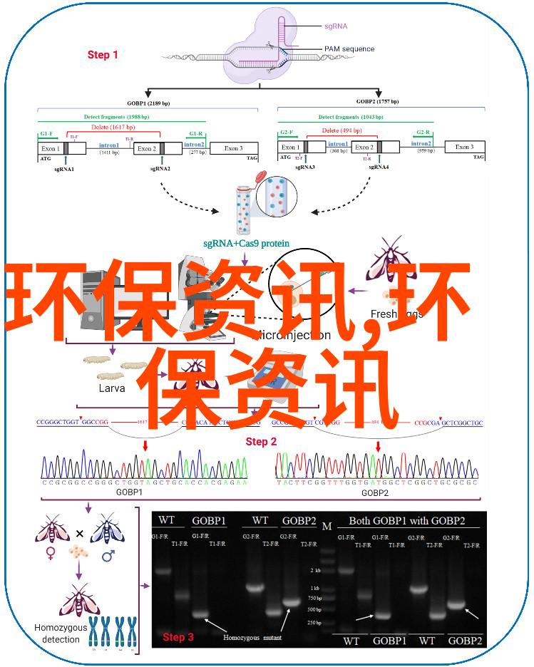 绿茵覆盖的废墟生态环境修复技术的奇迹