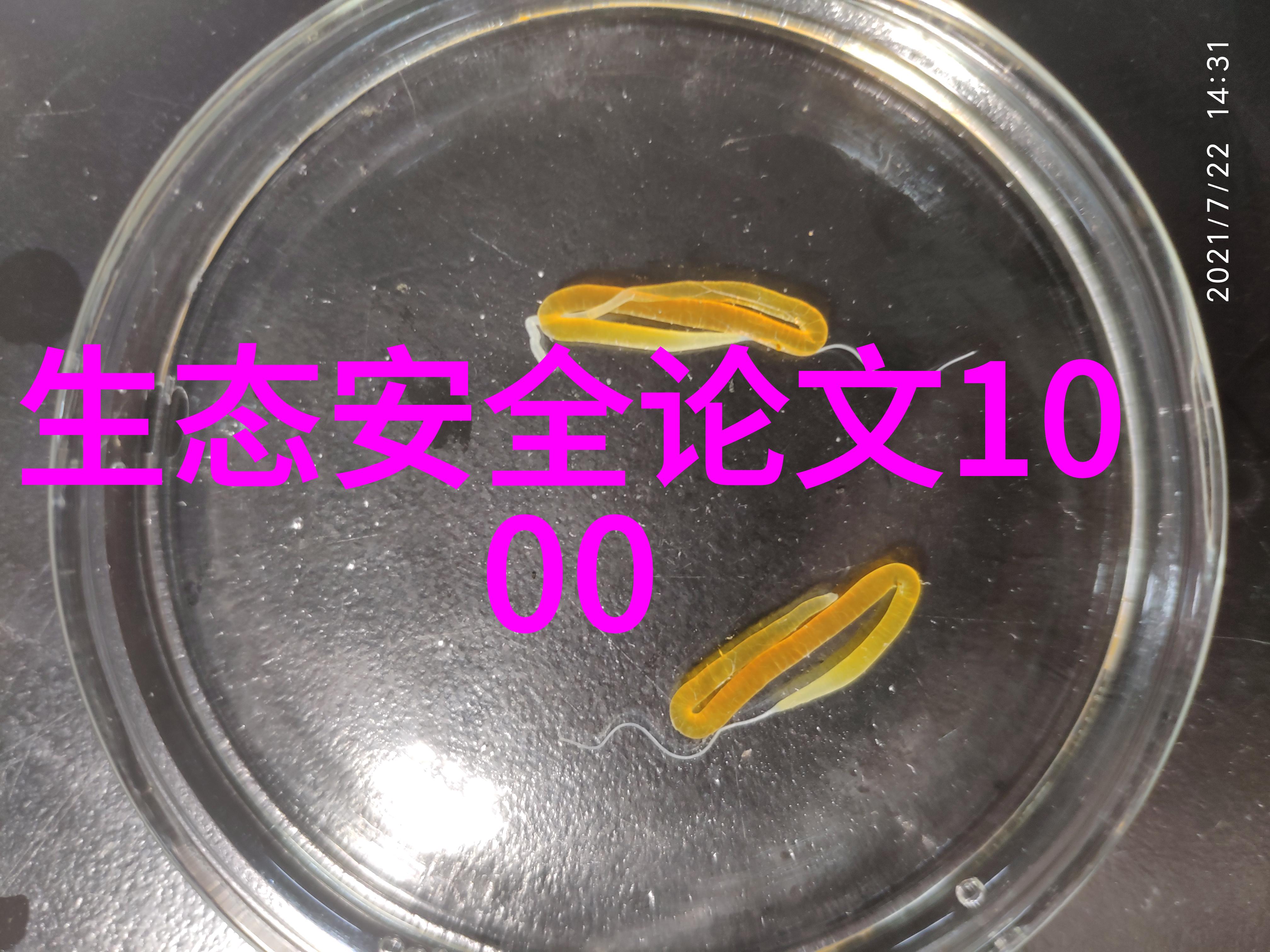 智能电力管理电力仪表的未来趋势与应用实践