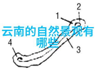 基础地理我来教你怎么区分海洋和大洋