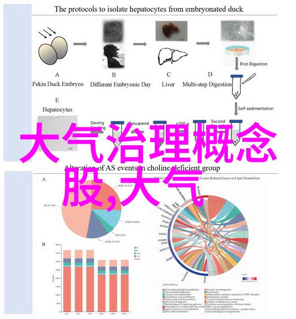 水文循环的重要性降水蒸发和径流维系生态平衡的三位一体