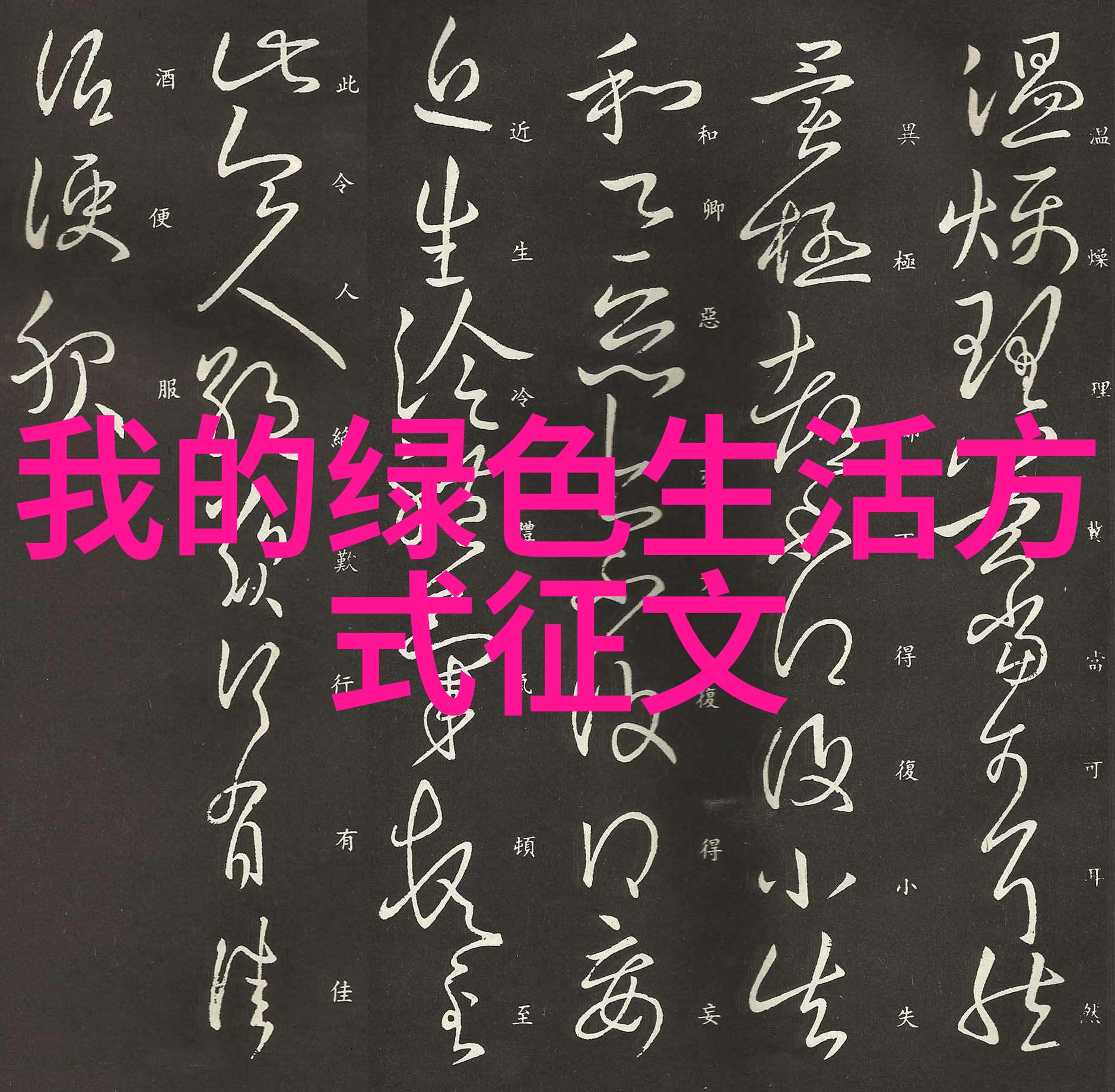 绿色出行智慧生活10个轻松转变的低碳小技巧