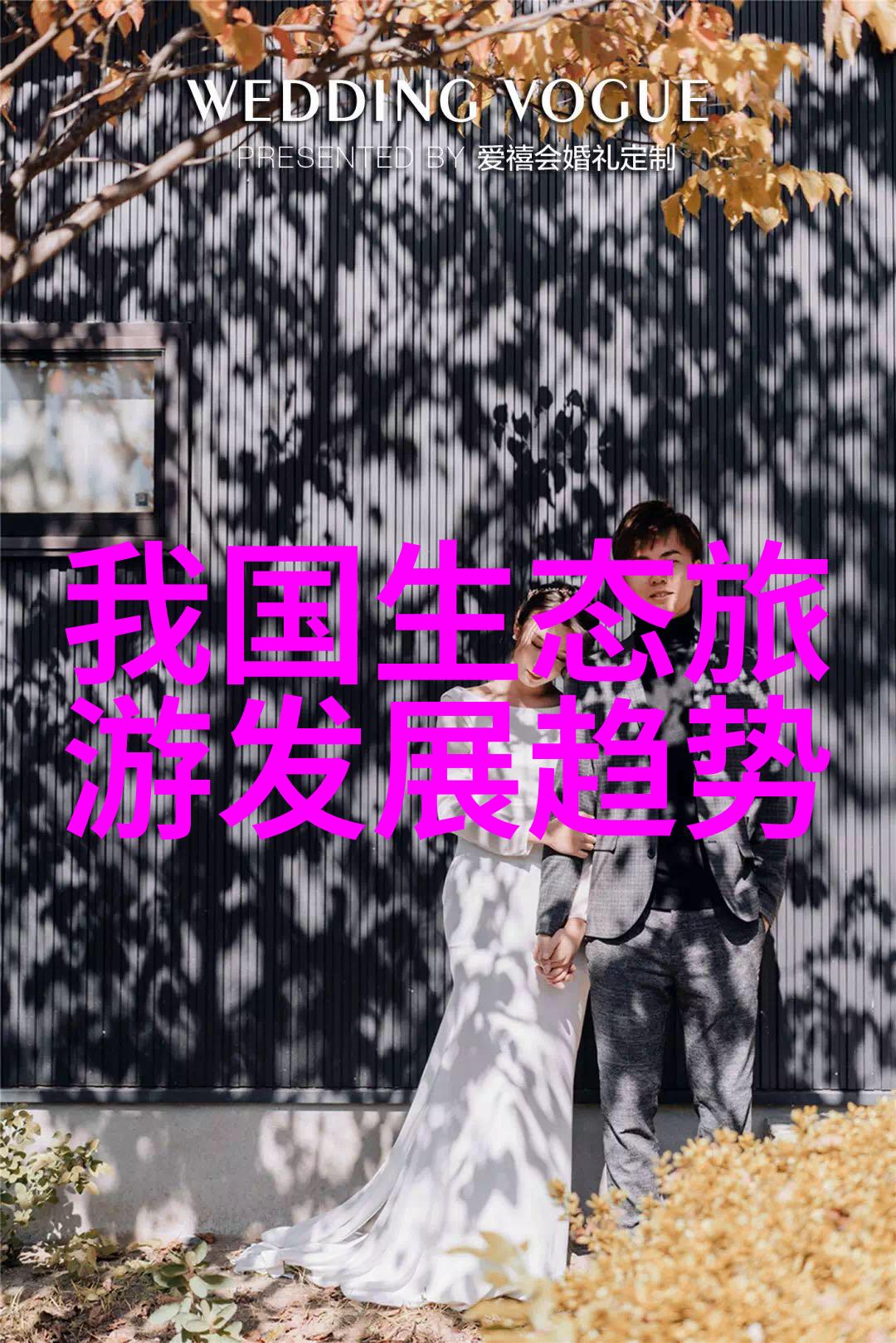 落跑皇娘逃离宫廷的秘密爱情