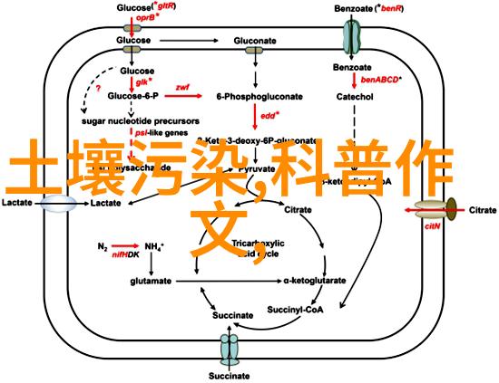 揭开蓝天探索大气净化技术与生活方式的双重攻势