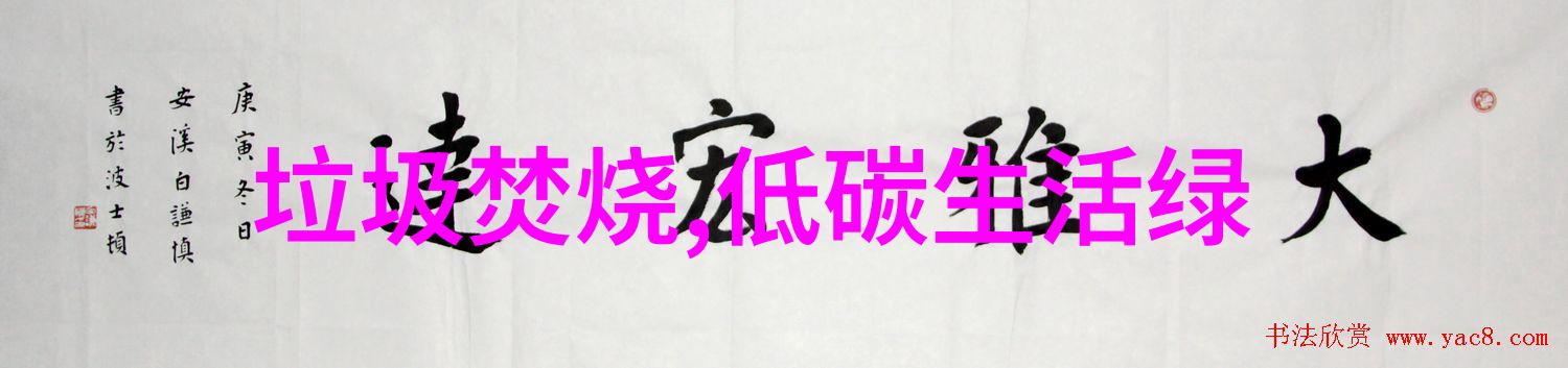 从海拔最高到最低中国的地理多样性有哪些惊喜