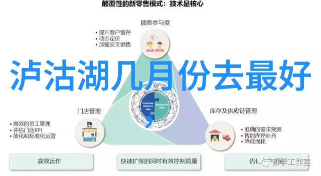 星际第一技师宇宙级别的高超技术与技能