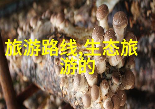 绿色生活的呼唤环保意识在现代社会中的重要性探究