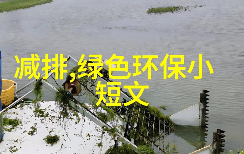 空气净化器与植物合作室内空气质量管理方法