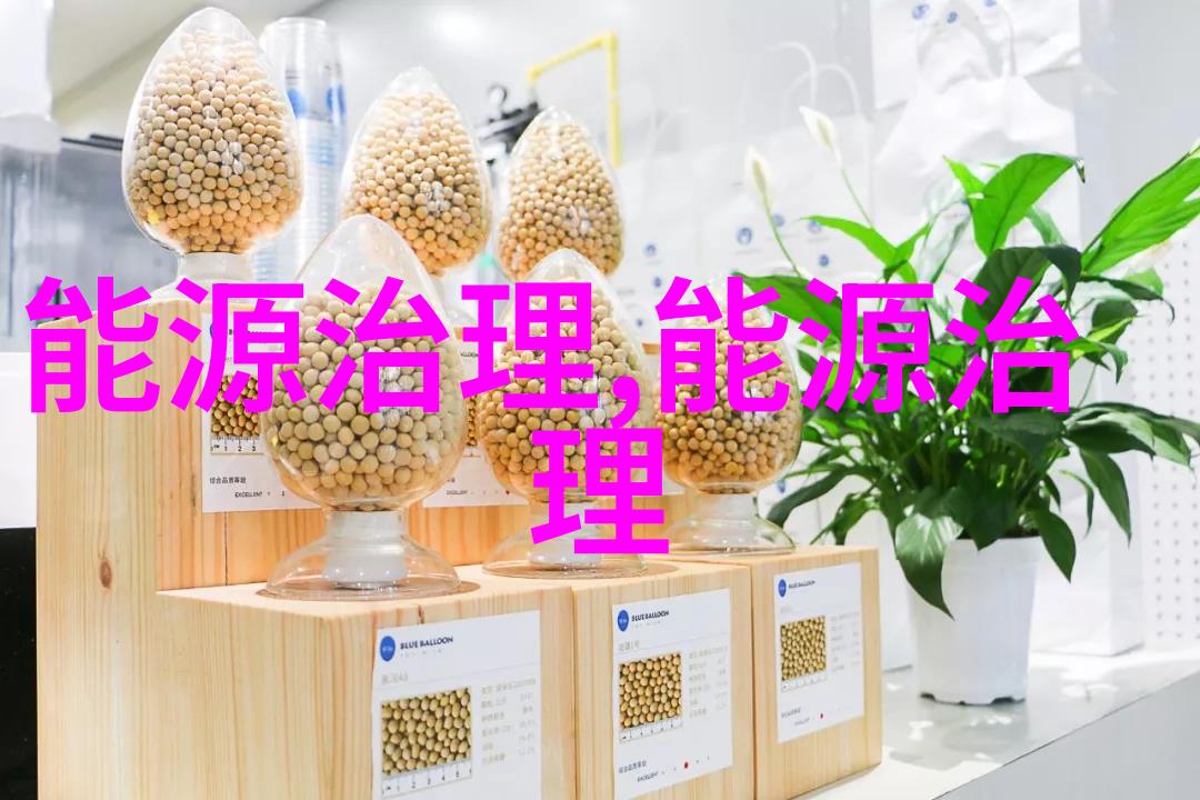 物料处理中的关键技术高效固液分离设备过滤器的应用与发展