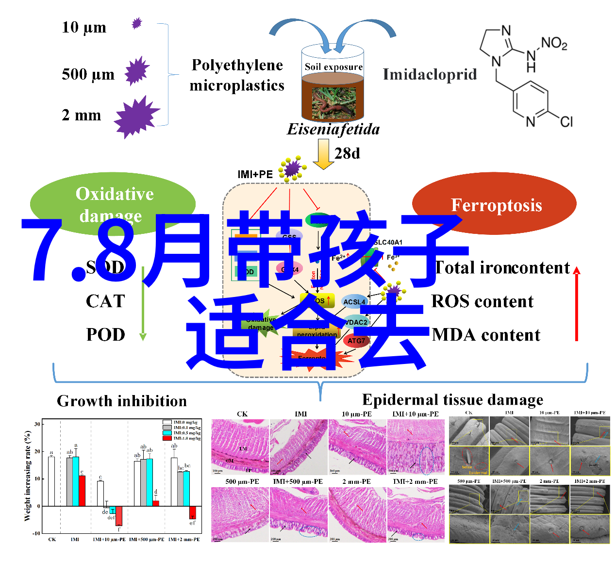 电镜技术在生命科学研究中的应用案例