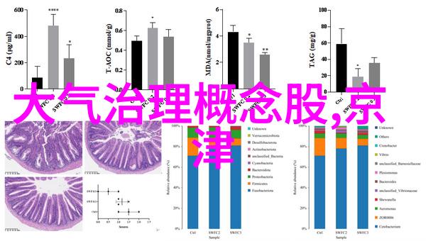 西安市水务局推广应用的高效净化技术与设备