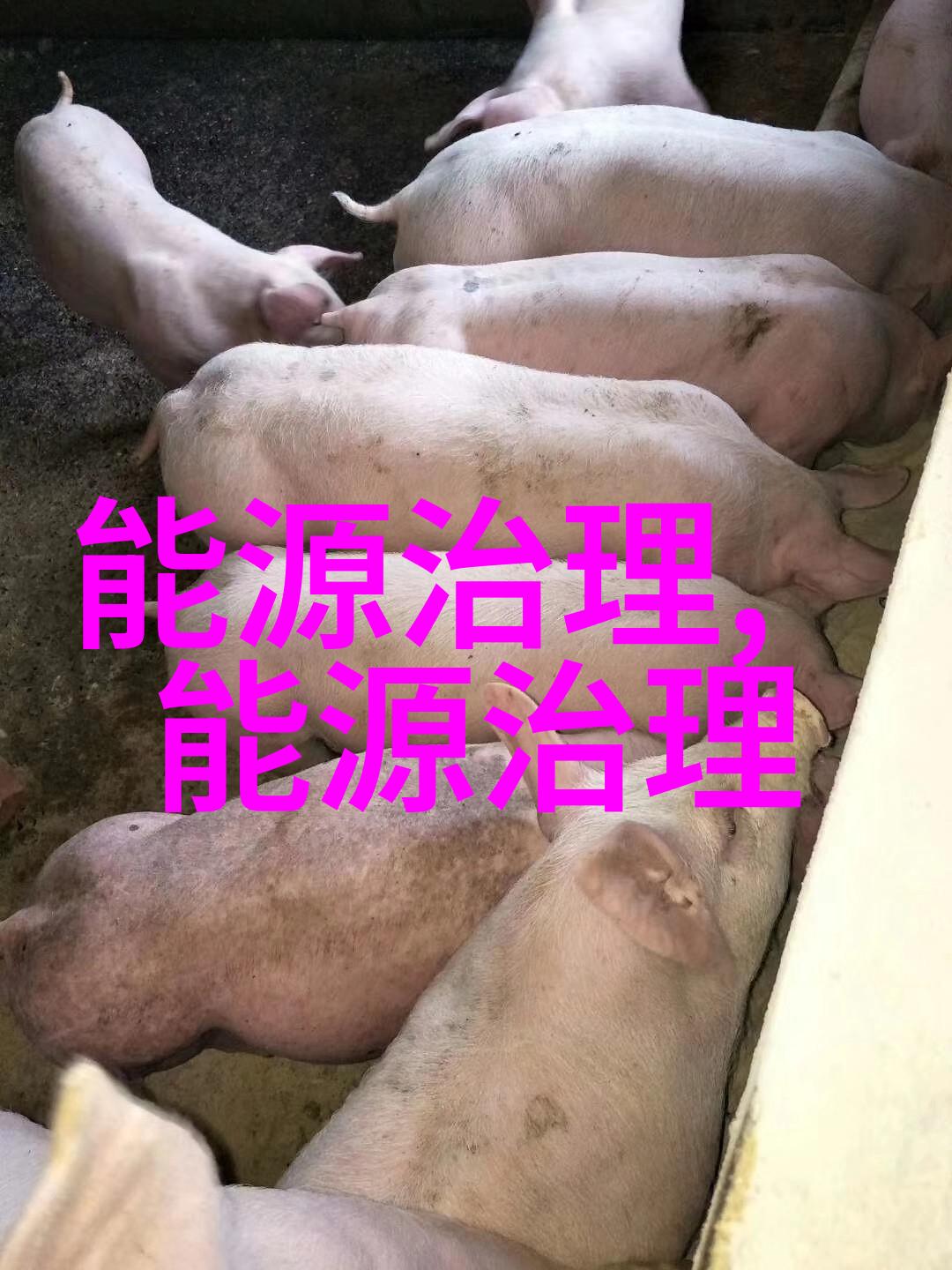 传统与现代方法相结合可以为我们提供怎样的创新思路来改进污水处理工艺及设备选择呢