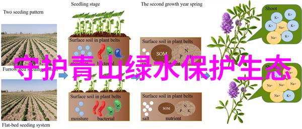 水汪汪的缝隙探索岳腿间那片清泉之谜