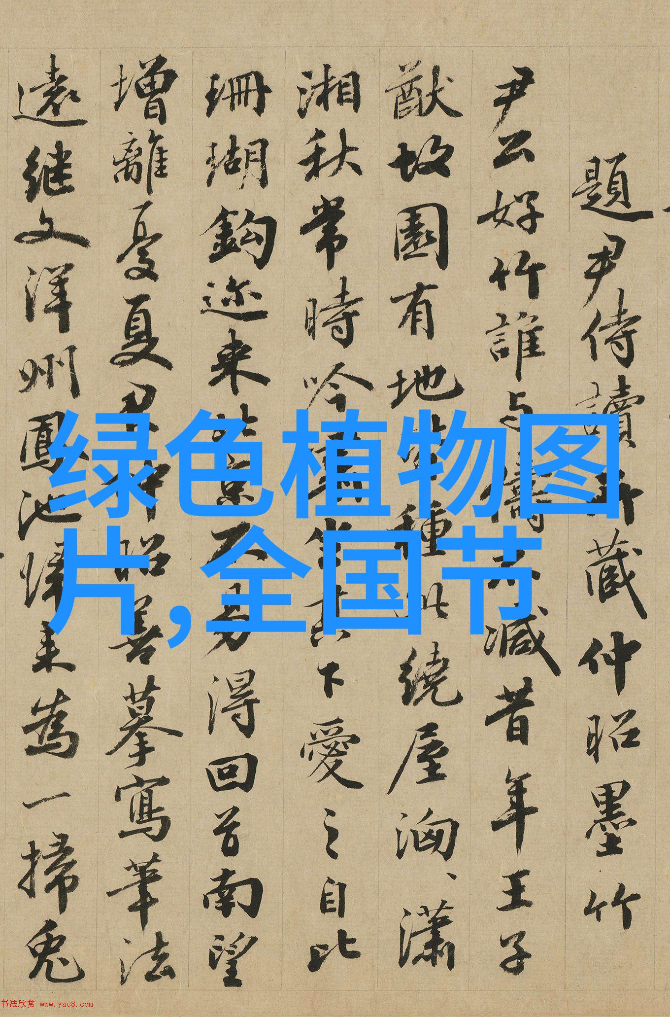 环境污染十大典型案例工业排放水污染土壤污染空气污染电子垃圾处理问题大规模农业化学物质使用高温下城市烟