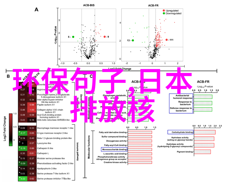 水污染治理策略减少水体环境污染的有效方法