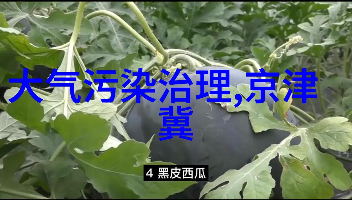 生态环境的恶化对全球气候变化有什么影响