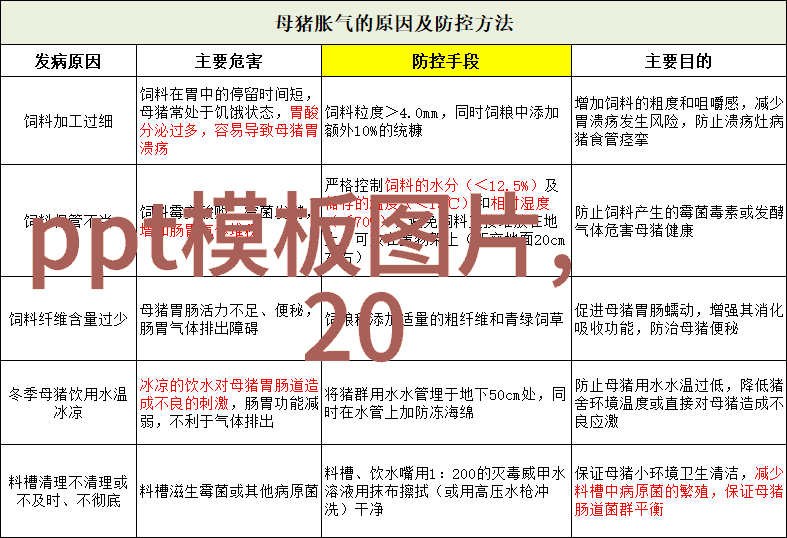 跳跃极限追逐C的无尽梦想与D的死亡边缘