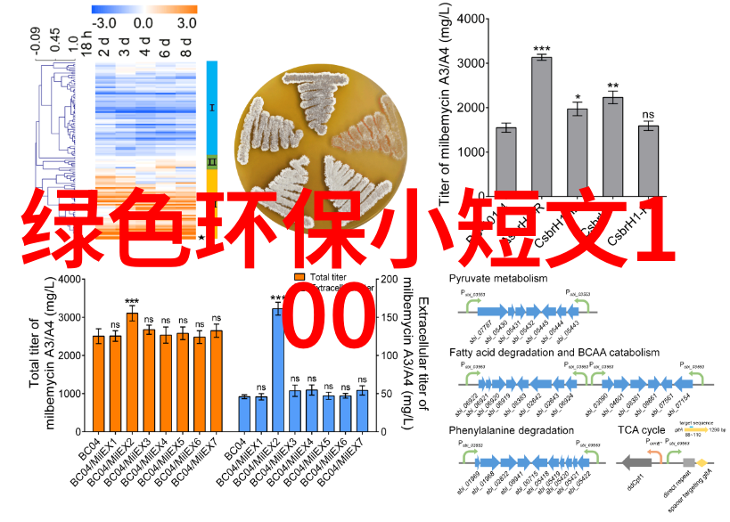 环保之星绿色手抄报的低碳奇迹