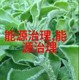 全面提升生活品质的策略健康饮食定期锻炼和心理调适