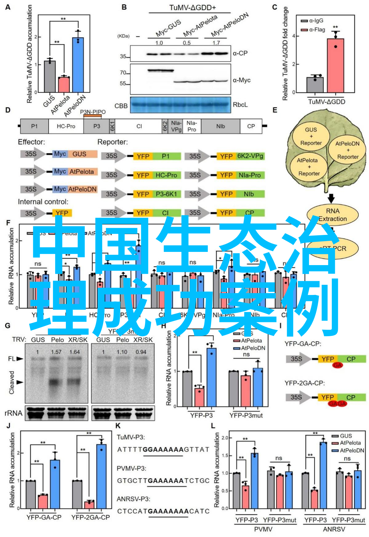 仪表盘损坏后如何评估其经济性与必要性进行更换或修理