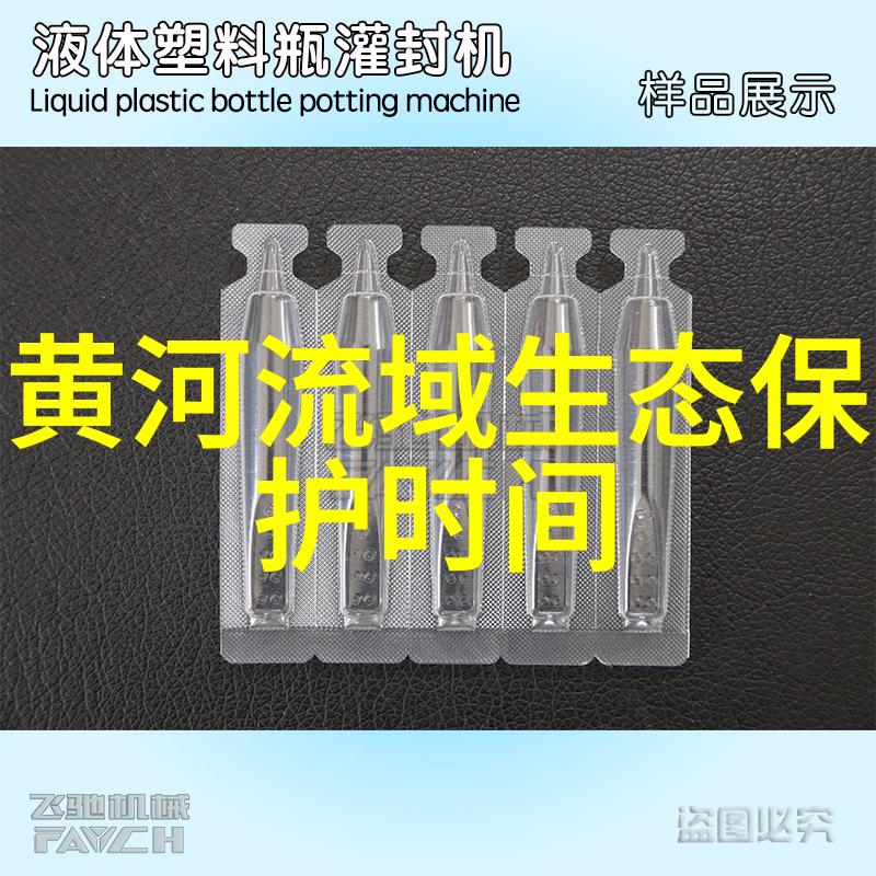 宝贝的欠款日记揭秘C币长期借贷背后的故事