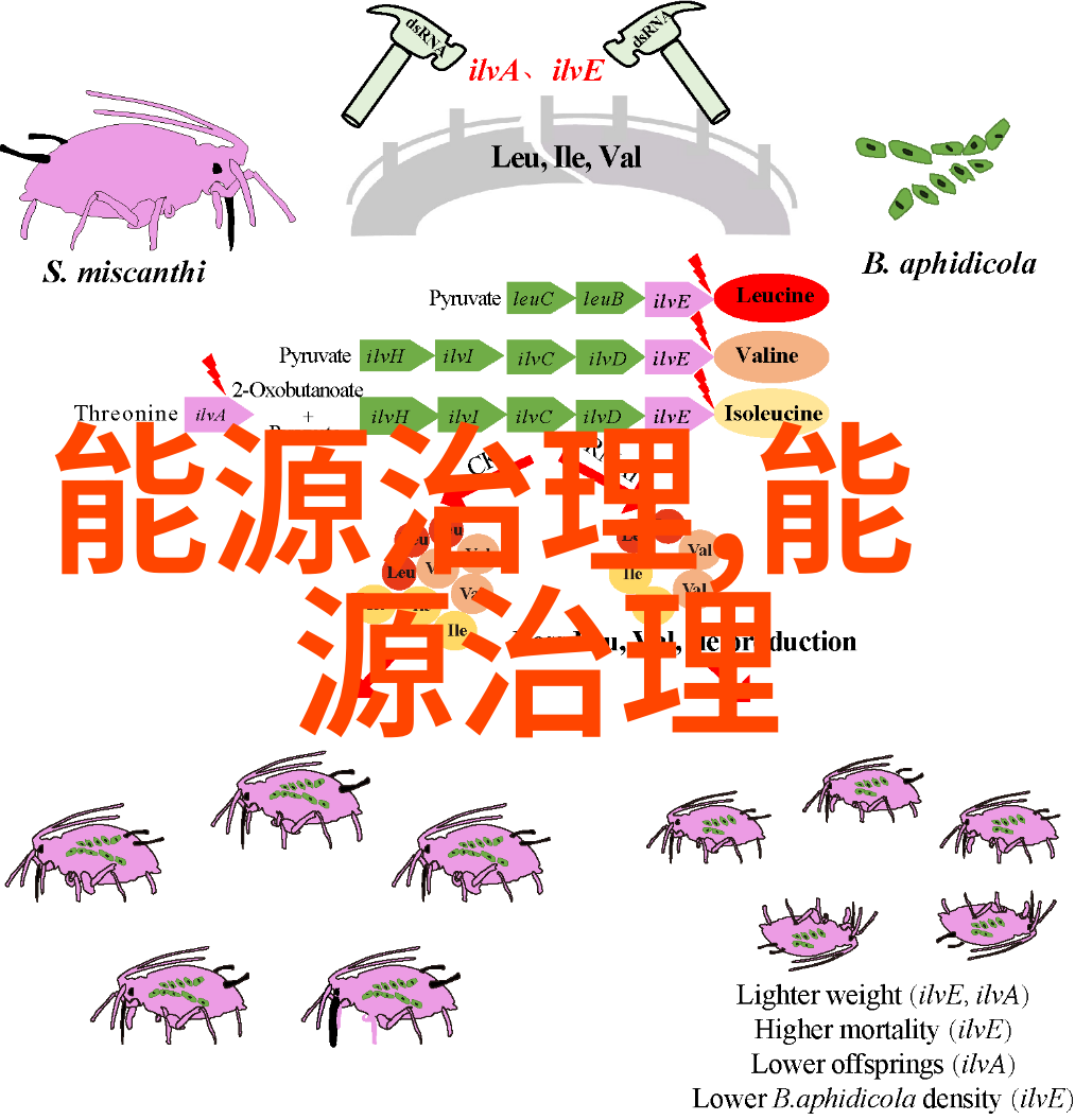 生态环境保护构建可持续发展的生态文明体系与策略研究