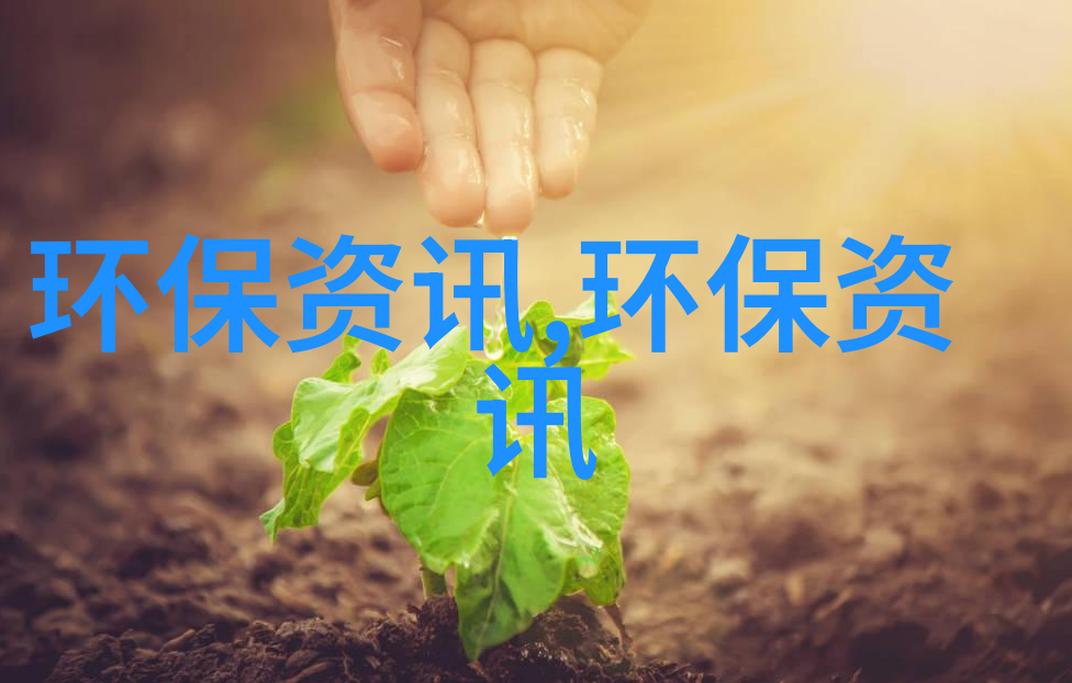 校园里的小可爱多肉植物的故事