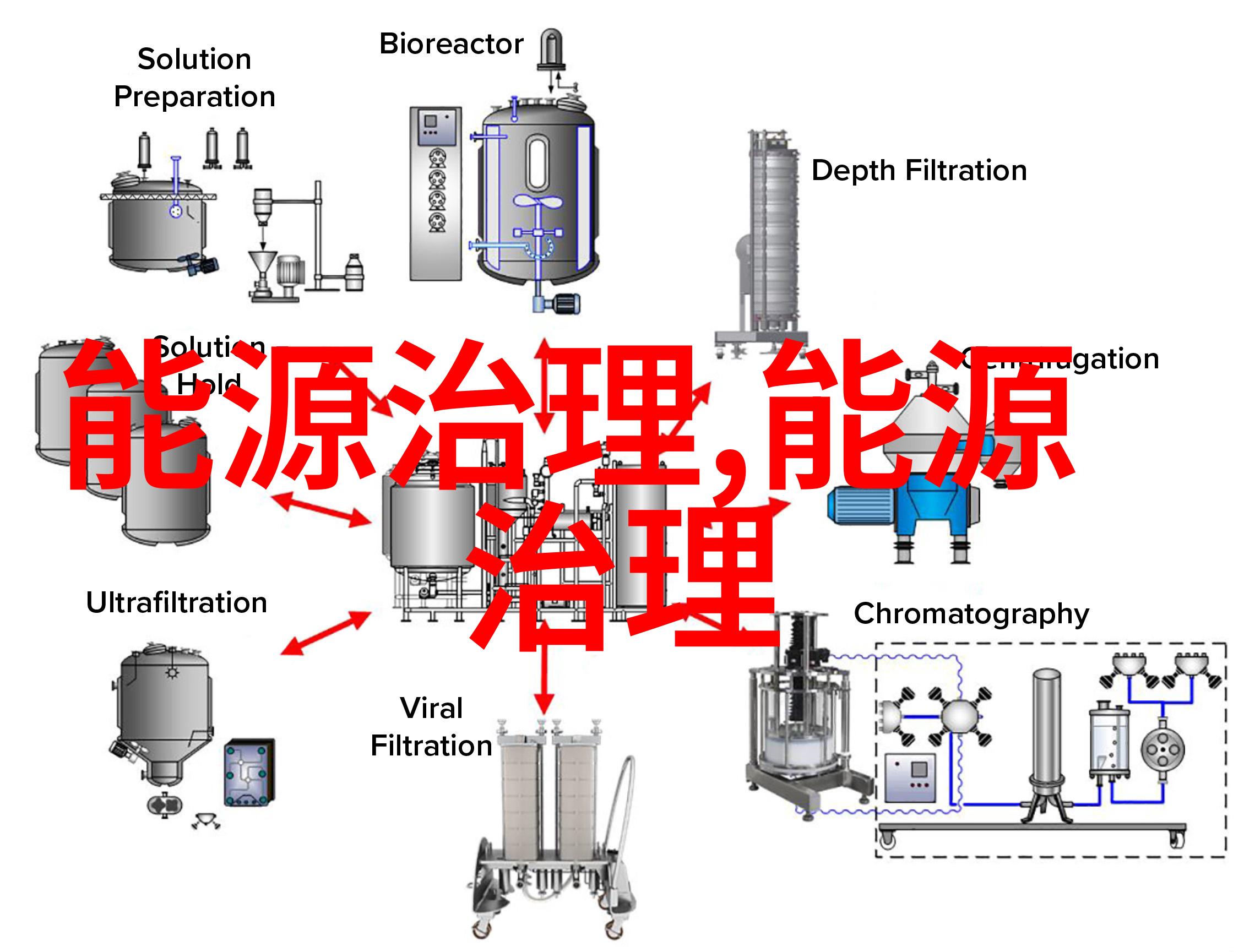 帝台娇穿越千年回声中的宫廷花