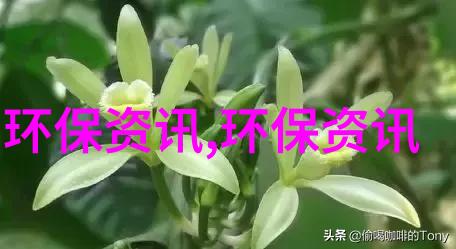 如何选择合适的环境监测传感器以满足特定需求