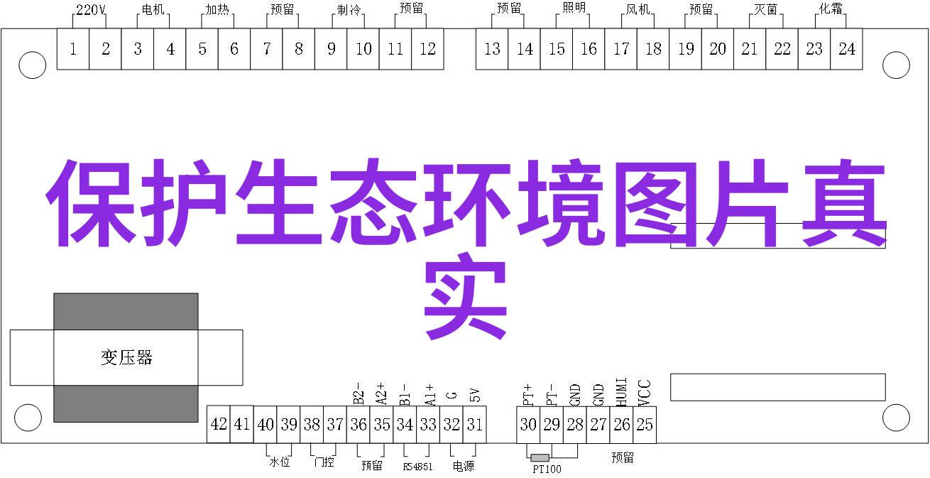 绿植守护者CCF引领数据中心Diskless革命开启新时代变革