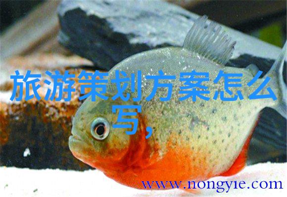 小型污水处理厂的工艺流程生物氧化过滤沉淀活性炭吸附逆渗透