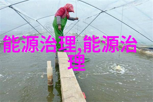 环保美食剩菜变营养宝藏