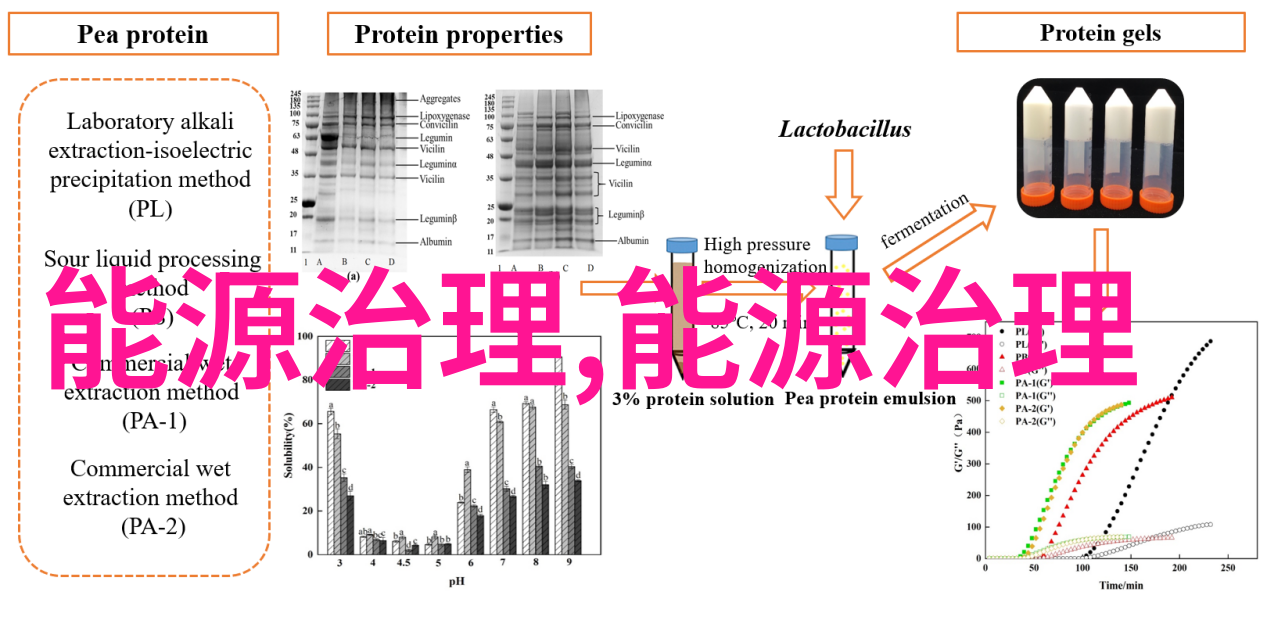 绿色守护环境保护主题作品简介撰写技巧探究