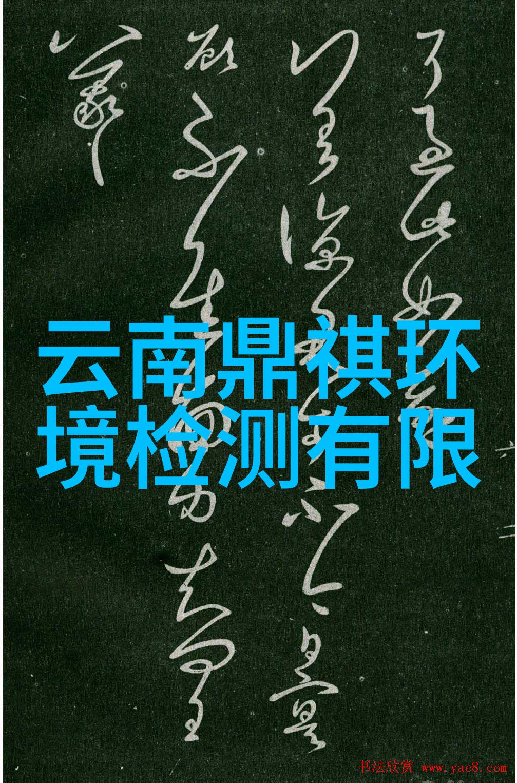 奥斯恩便携手持式气体检测仪为社会安全提供无缝服务的检测专家