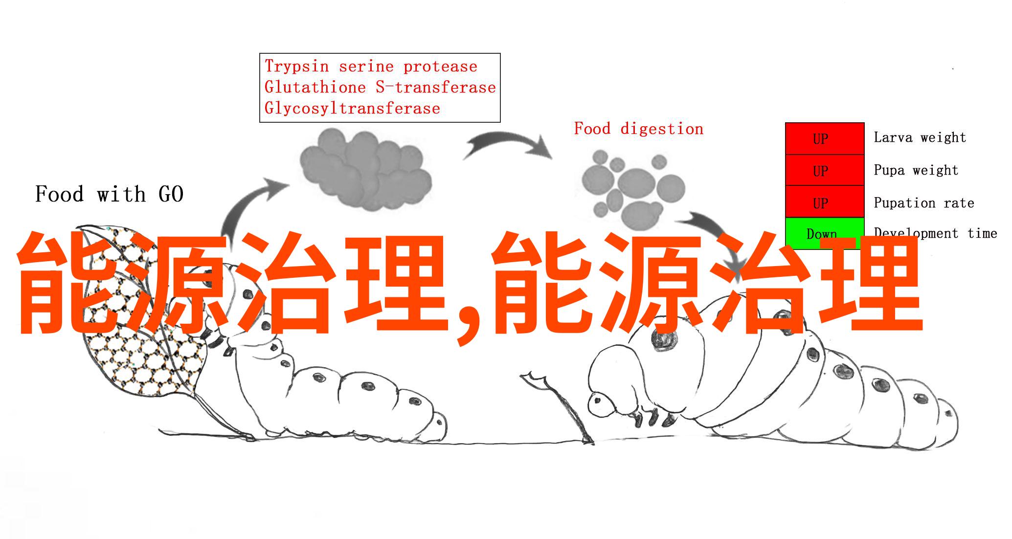 十万个奇葩冷知识揭秘人类不为人知的诡异事实与惊人的真相